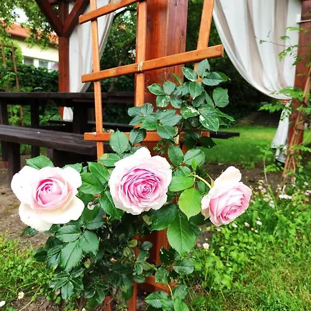 Prázdninový areál I Wilkasy (Gizycko)