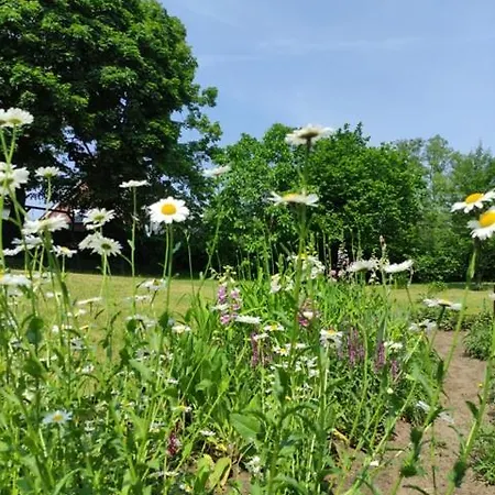 I Prázdninový areál *