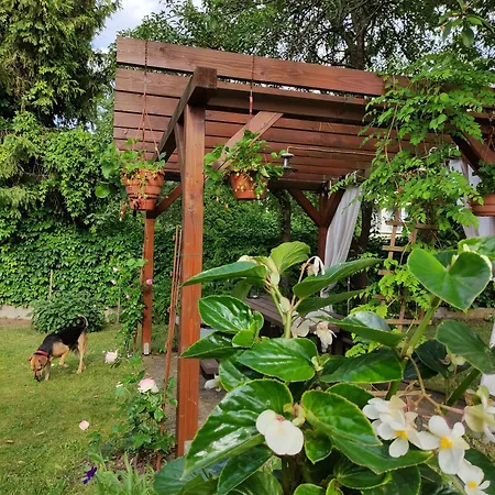 Tatil parkı I Wilkasy (Gizycko)