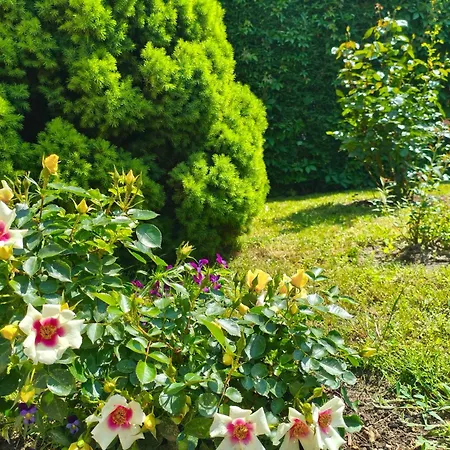 Prázdninový areál I