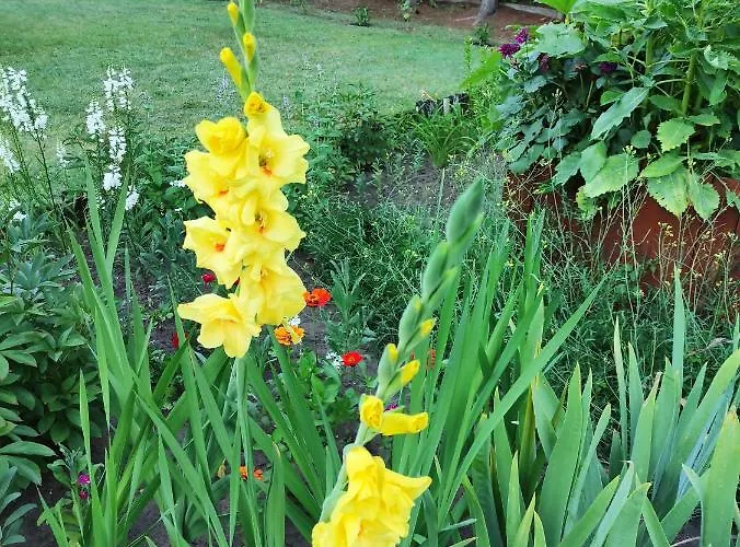 假日公园 I 维尔卡瑟