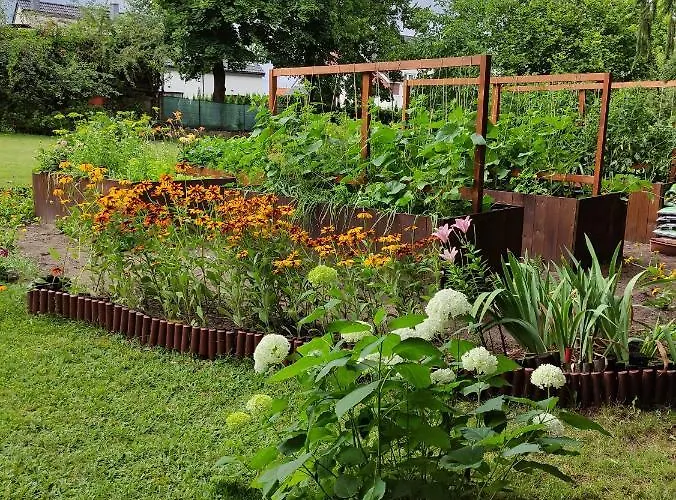 Prázdninový areál I Wilkasy (Gizycko)