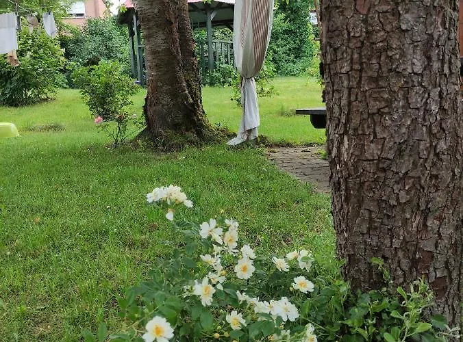 Prázdninový areál I