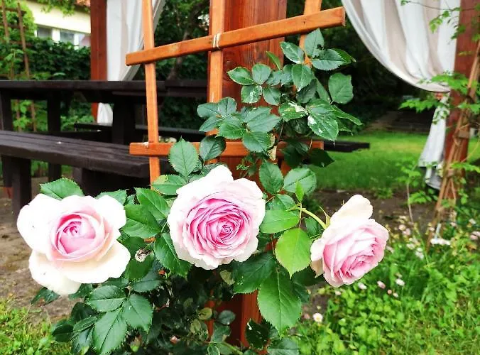 Prázdninový areál I Wilkasy (Gizycko)