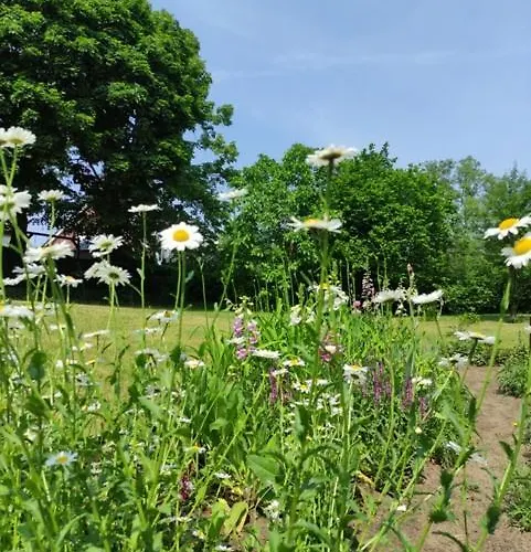 I Prázdninový areál *