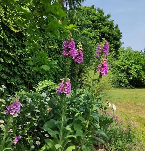 I * Wilkasy (Gizycko)