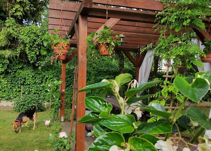 Prázdninový areál I Wilkasy (Gizycko)