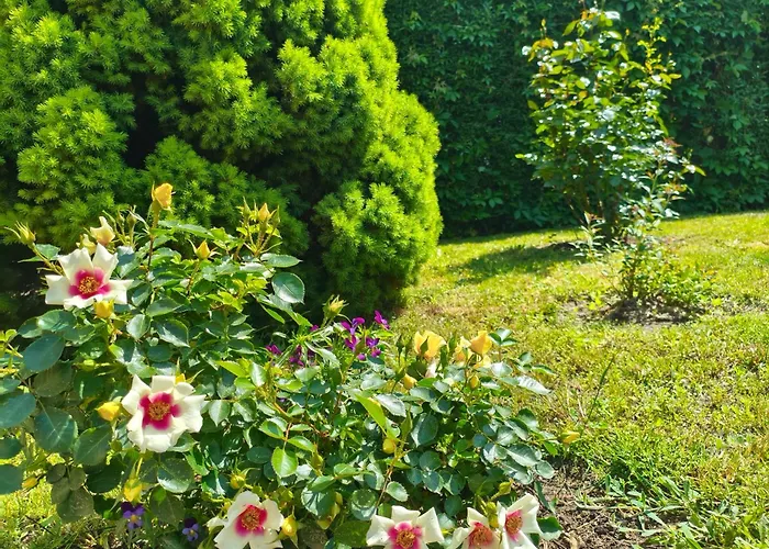 Prázdninový areál I